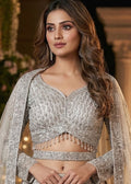 Silver Net Lehenga Choli With HandWork Embroidery